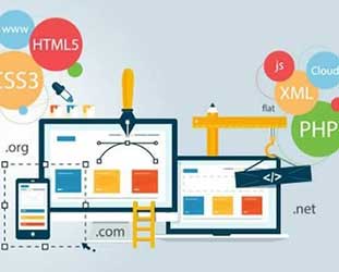 Web Development